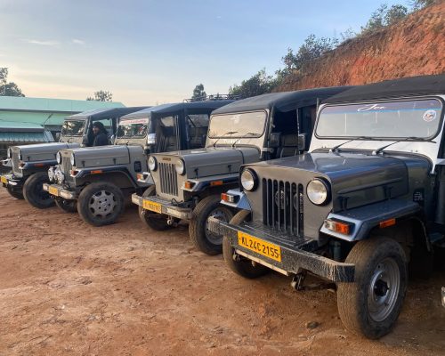 https://kolukkumalaisunrisejeepsafari.com/