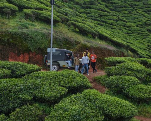 https://kolukkumalaisunrisejeepsafari.com/
